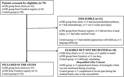 Oculomotor Deficits and Symptom Severity Are Associated With Poorer Dynamic Mobility in Chronic Mild Traumatic Brain Injury